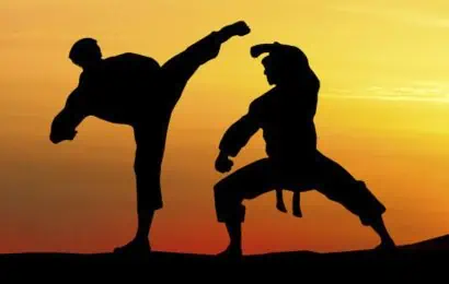 40 Types of Martial Arts from Around the World 