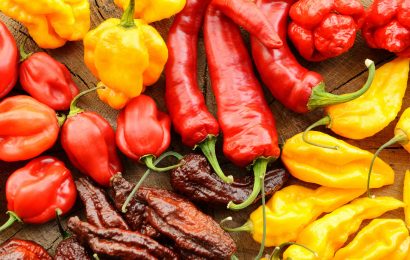 20 Hottest Peppers in the World To Make You Sweat 