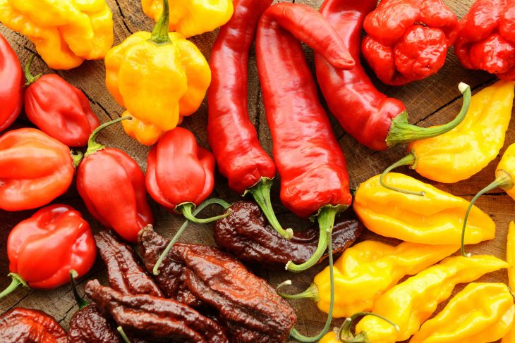 variety of hottest peppers