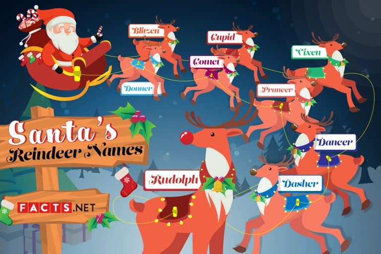 List of Santa's Reindeer Names in Order - Facts.net