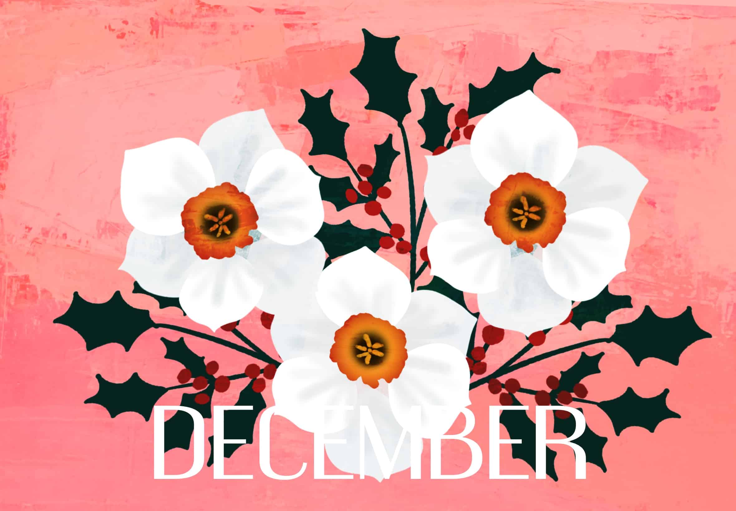 December Birth Month Flowers - Narcissus and Holly