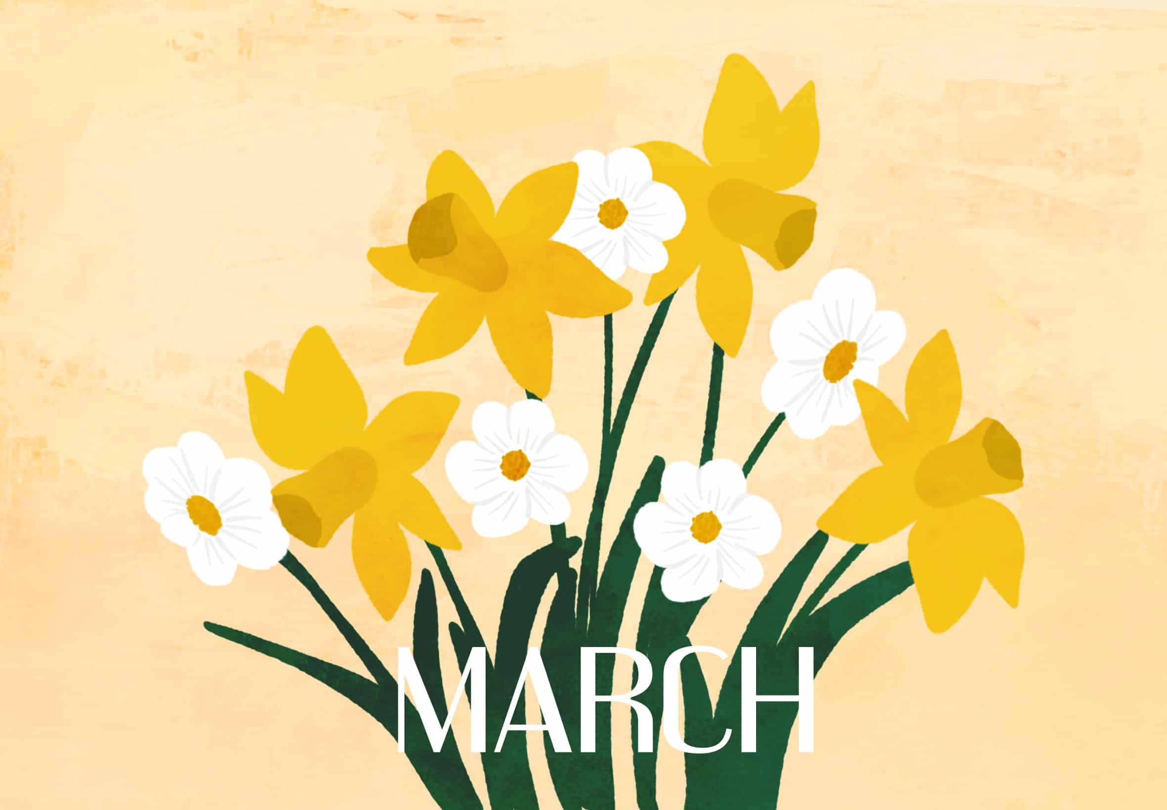 March birth flowers - daffodil and jonquil