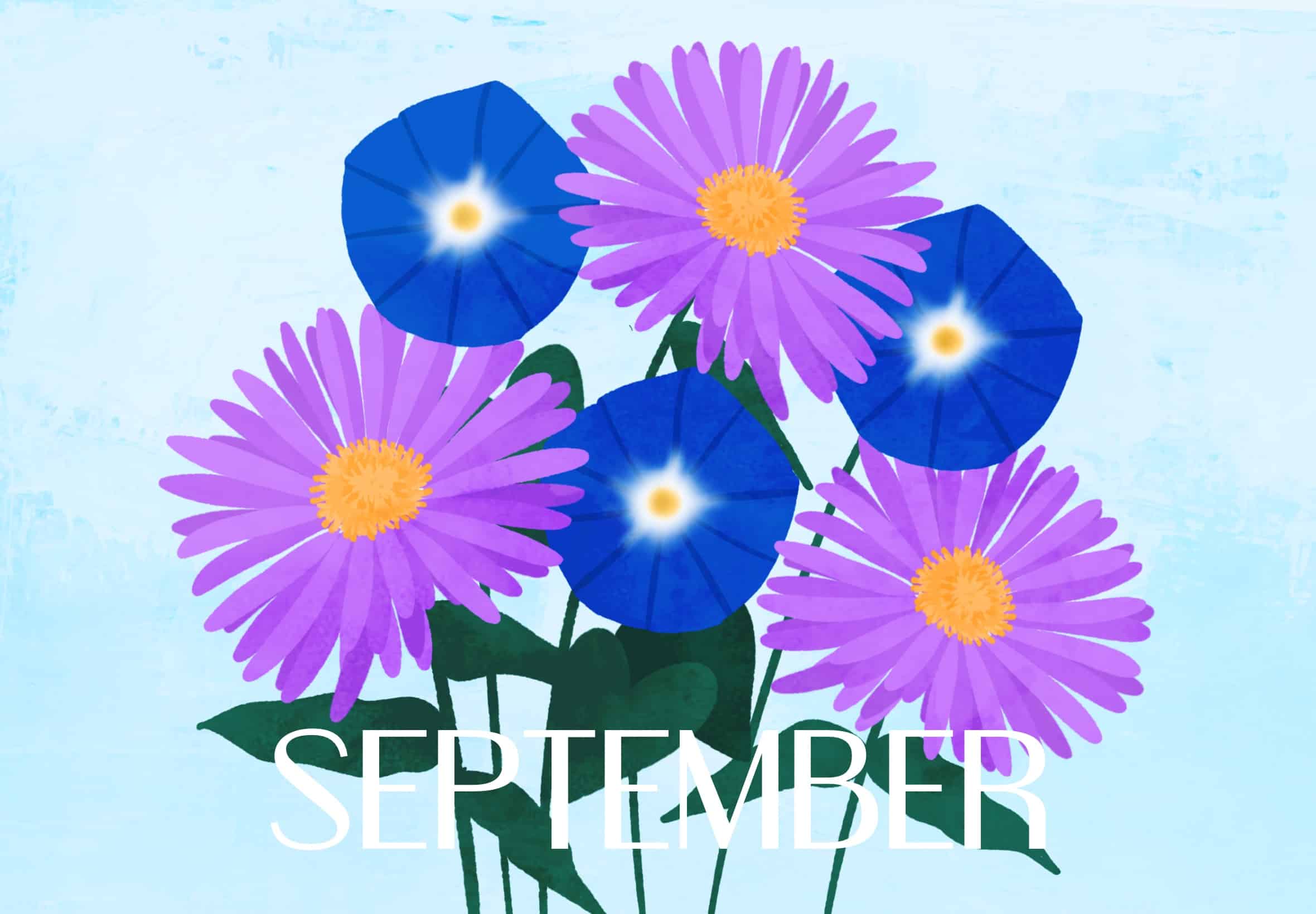 September Birth Month Flowers - Aster and Morning Glory