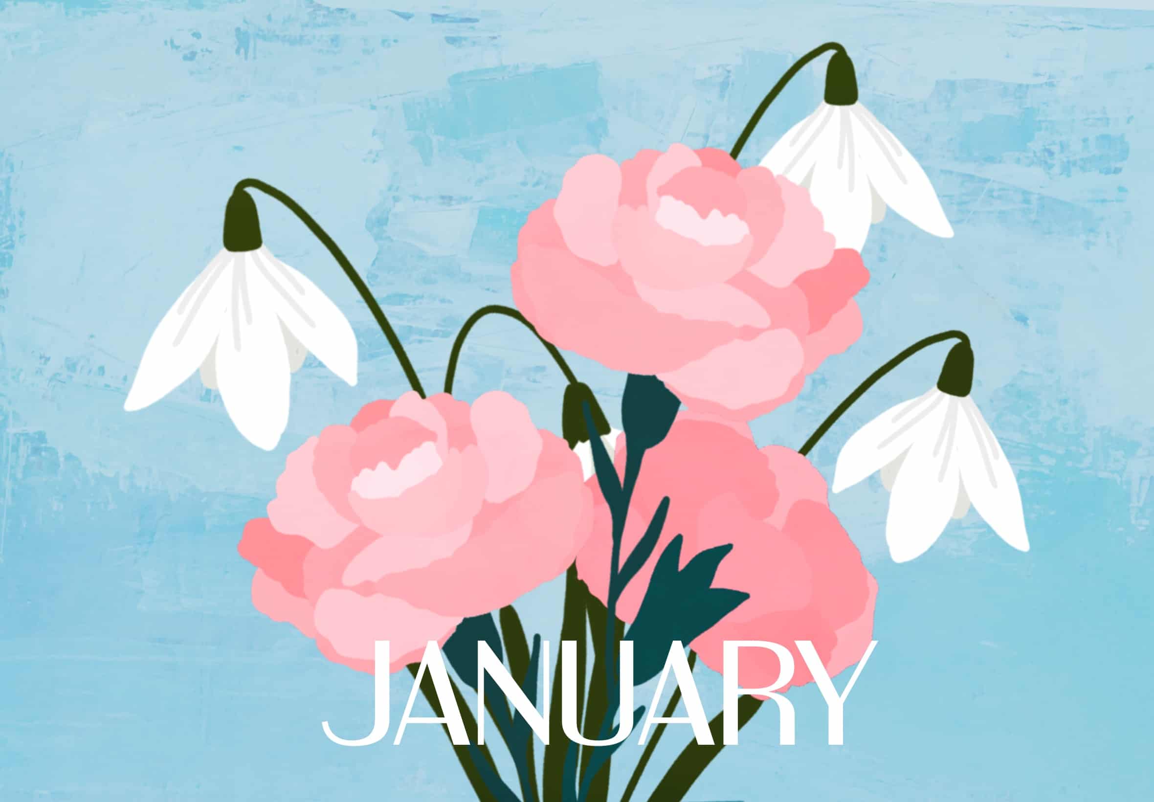 January Birth Month Flowers - Carnation and Snowdrop