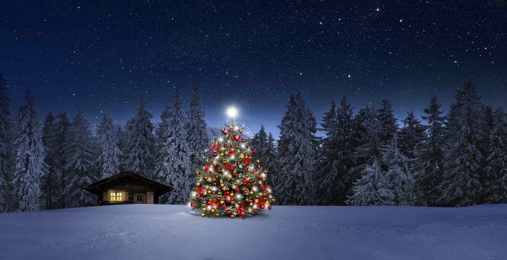 christmas tree under the winter sky
