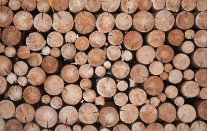 26 Types of Wood and Their Uses 