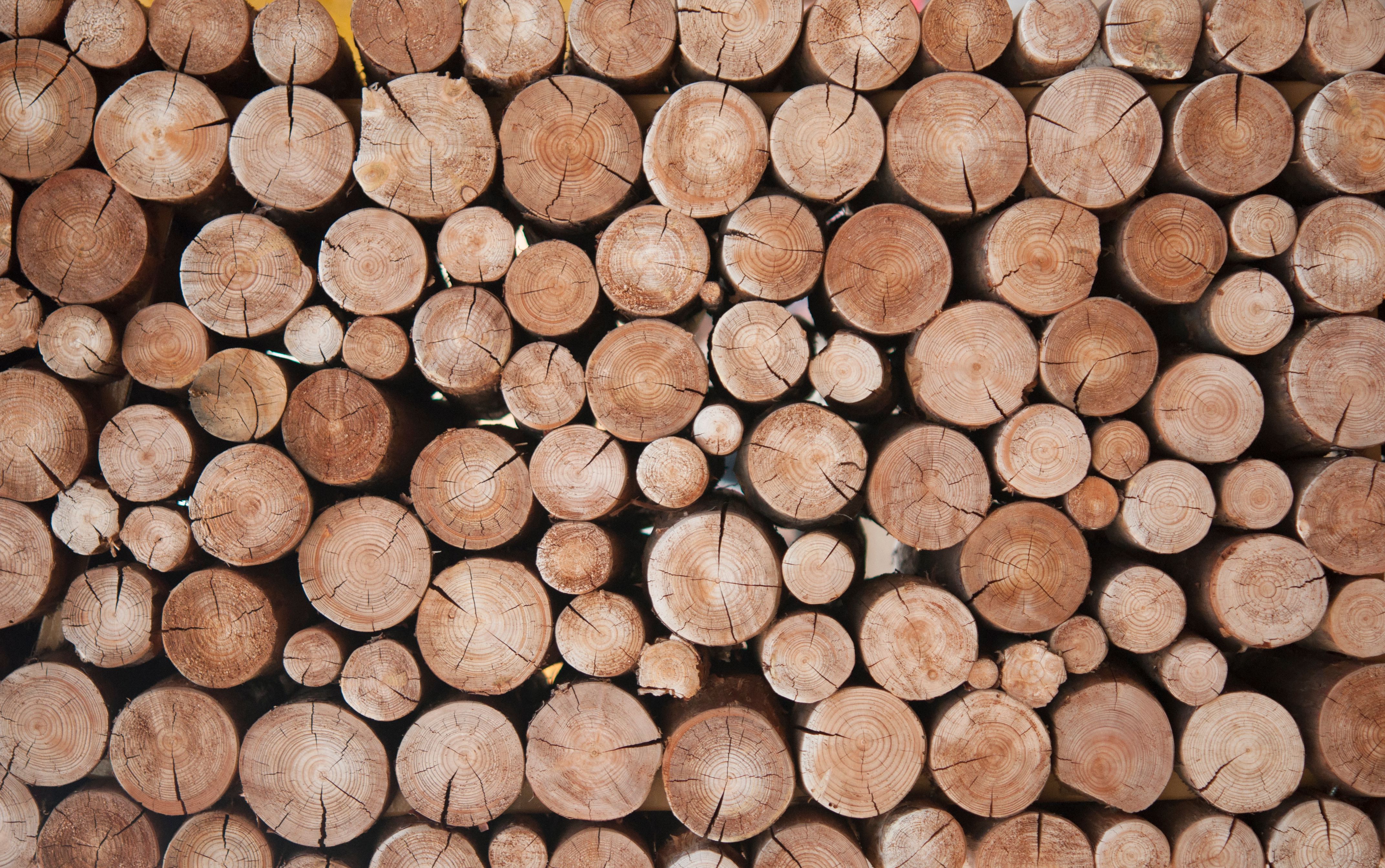 types of hardwood trees