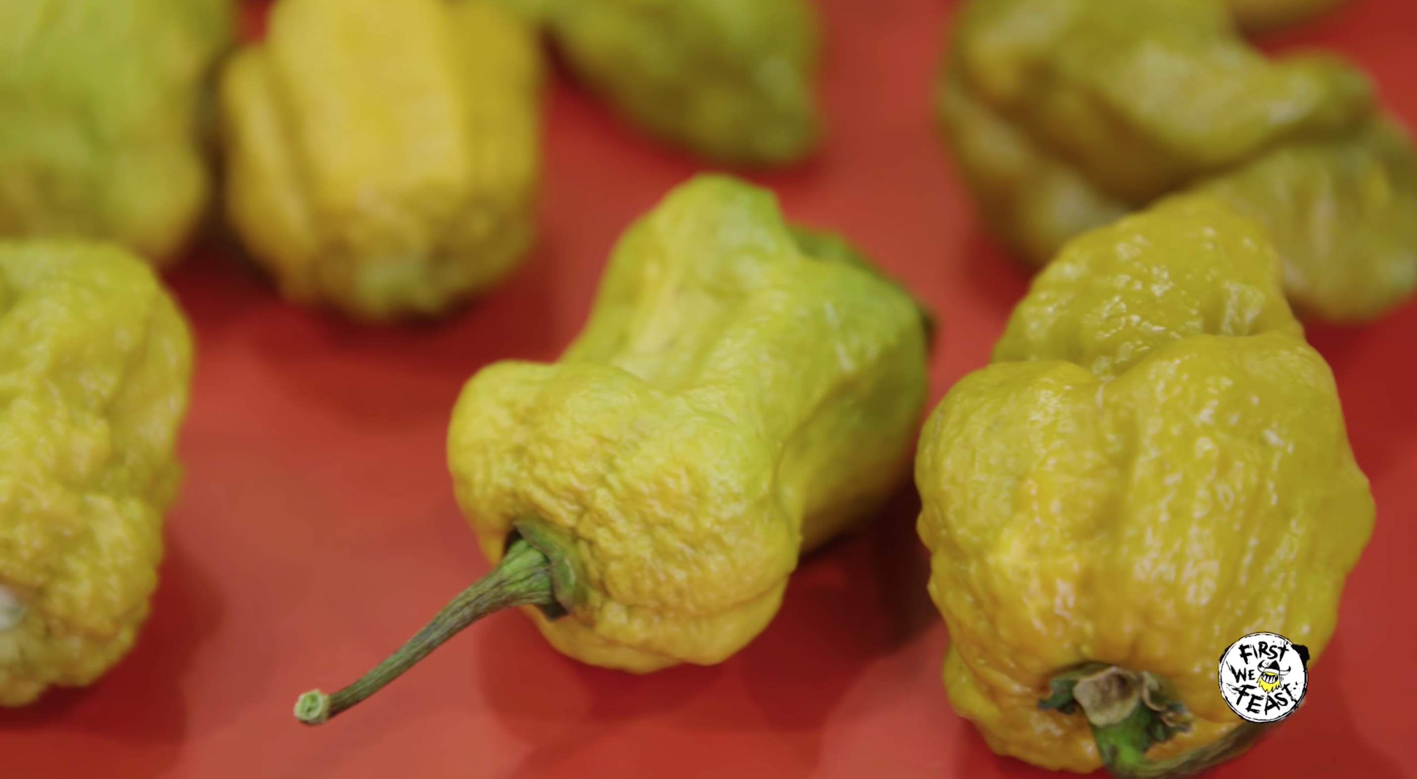 Pepper X' may be the 'world's hottest pepper