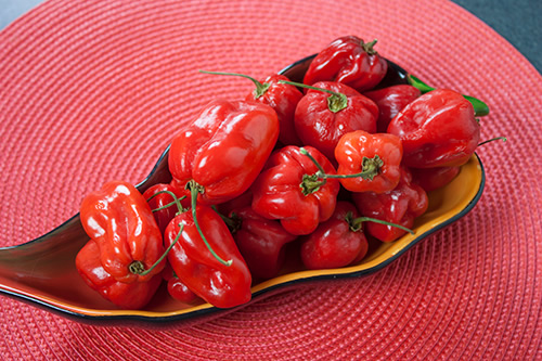 Red Savina Habanero Pepper