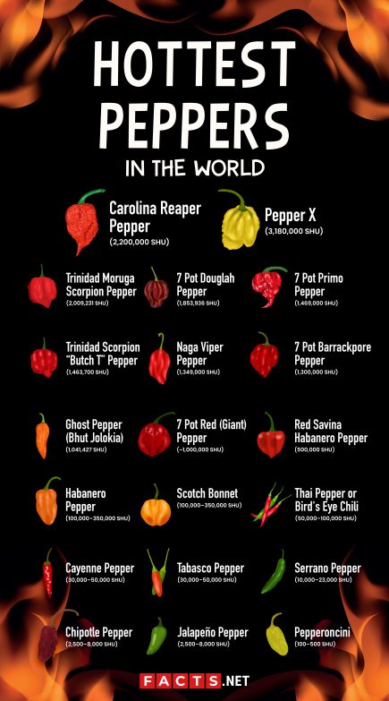 hottest peppers in the world top 20