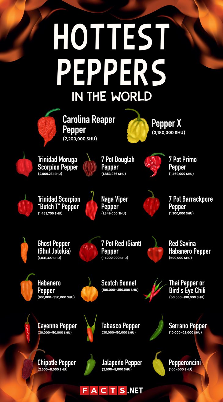 20 Hottest Peppers In The World To Make You Sweat 4778