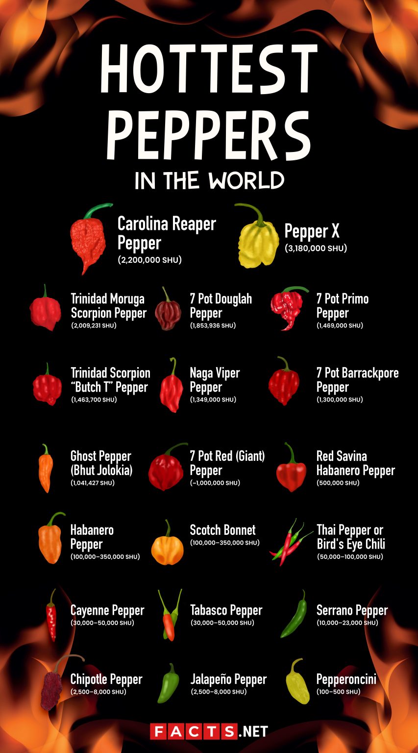 20 Hottest Peppers in the World To Make You Sweat