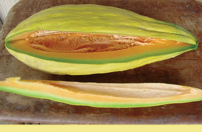 Banana Melon