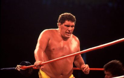 40 Andre the Giant Facts About Wrestlings Historical Colossus 