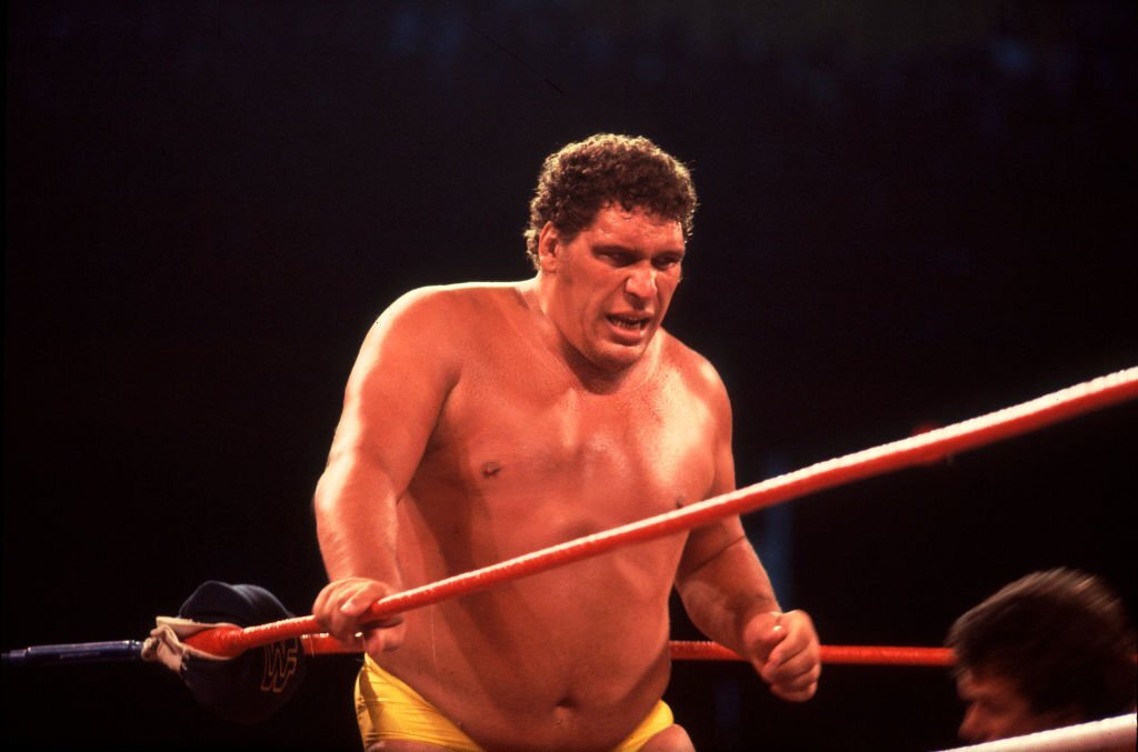 Andre the Giant  A Legendary Life  WWE 