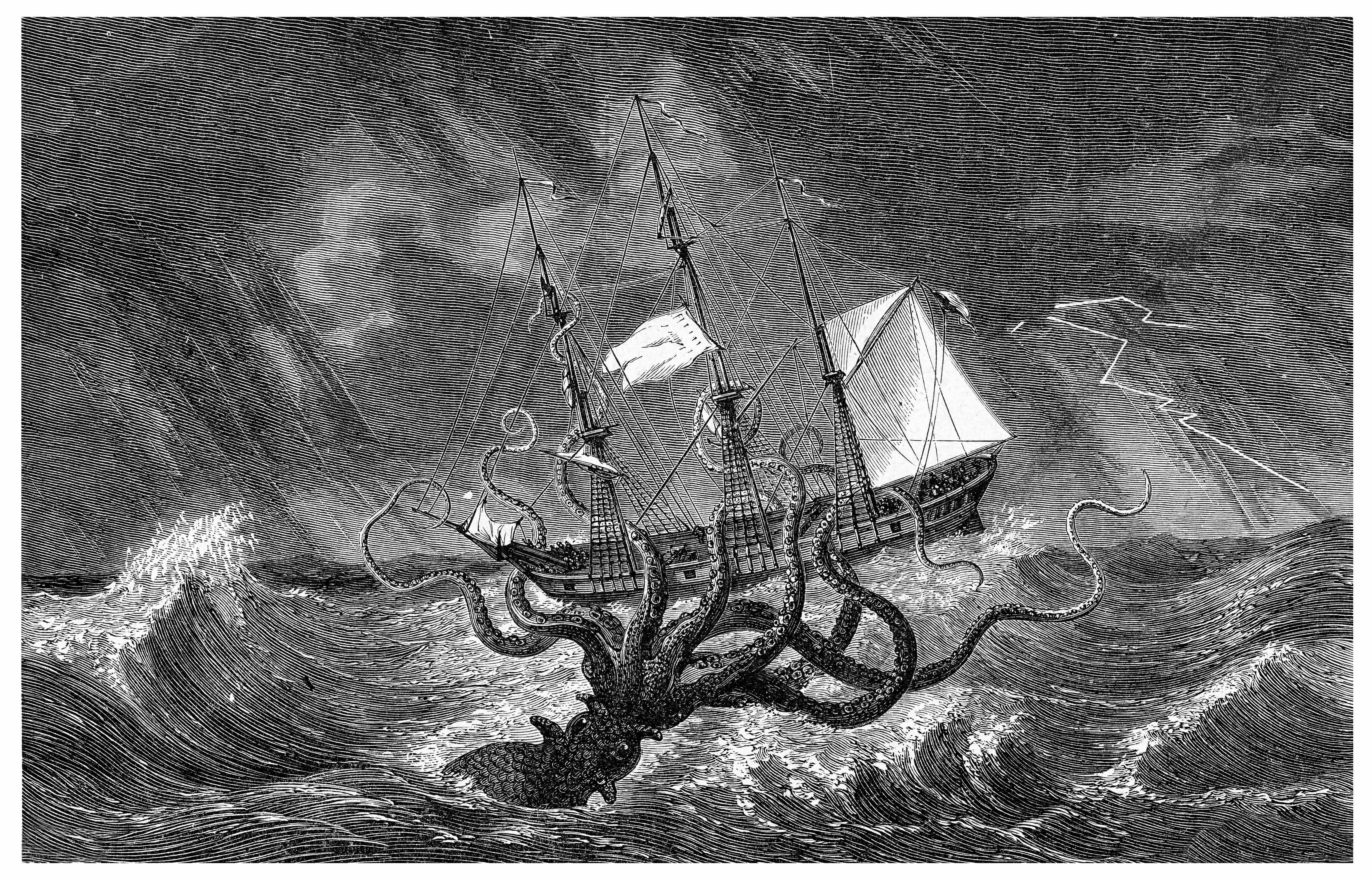 Kraken