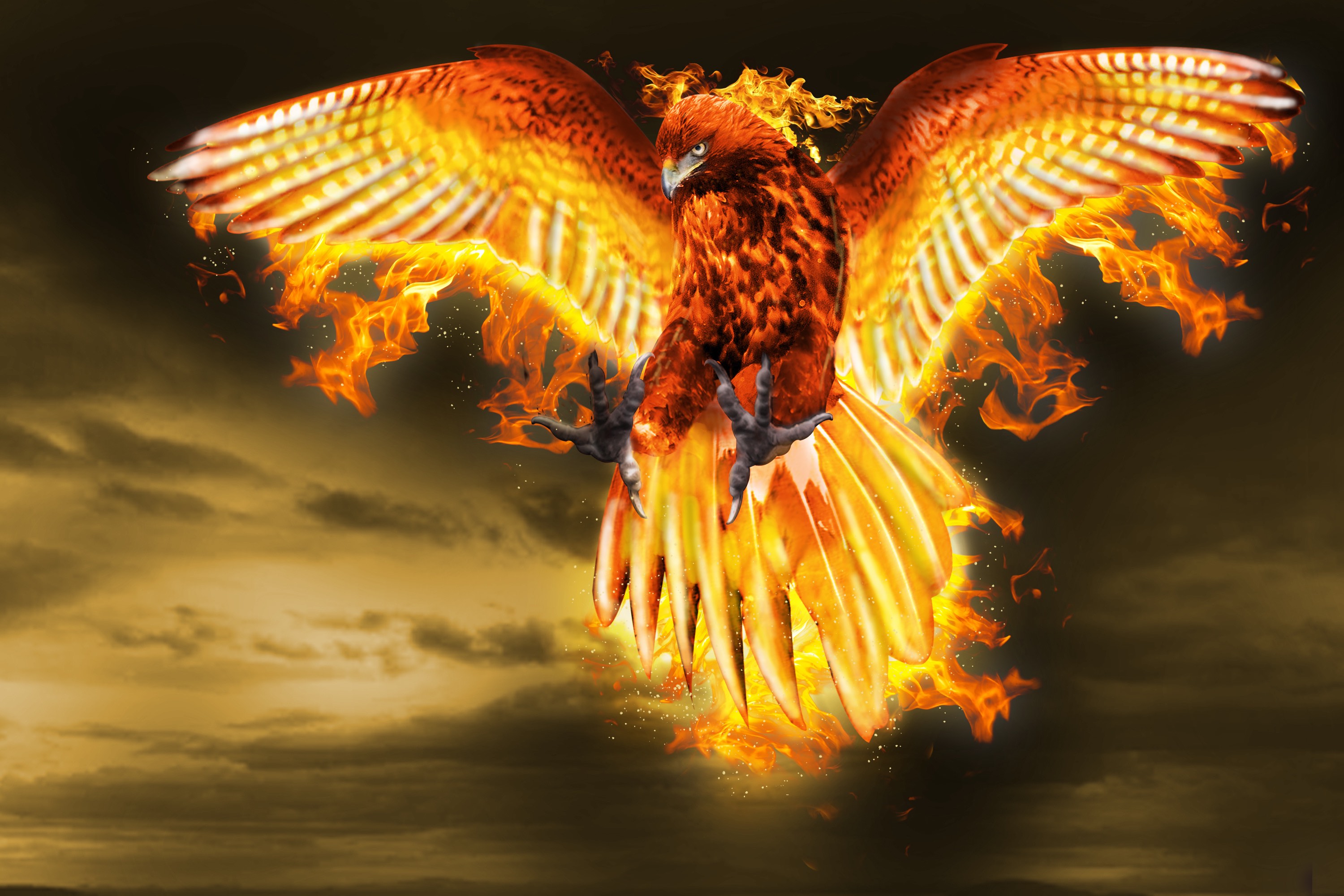 Phoenix
