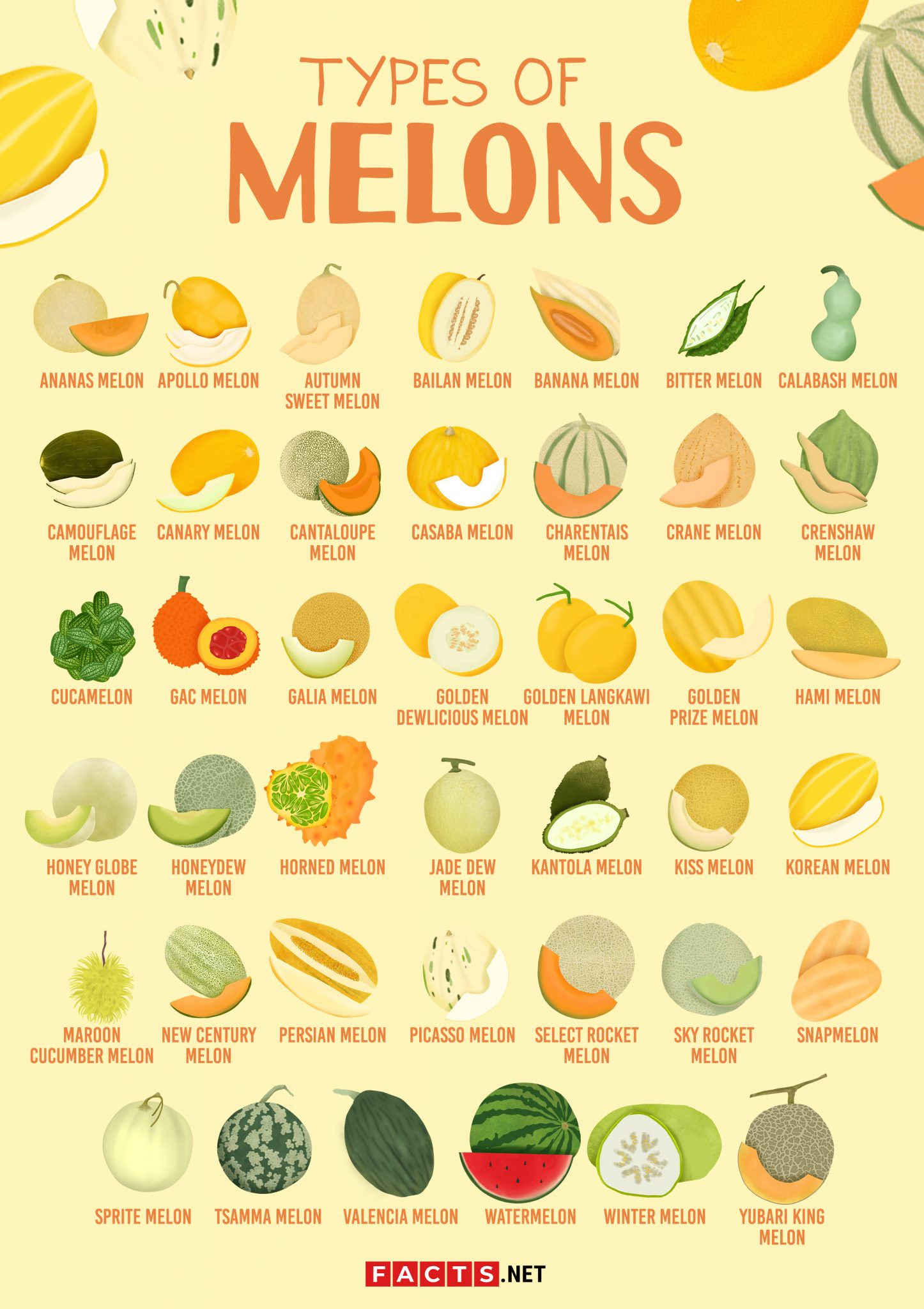 40 Types Of Melons To Discover From Around The World