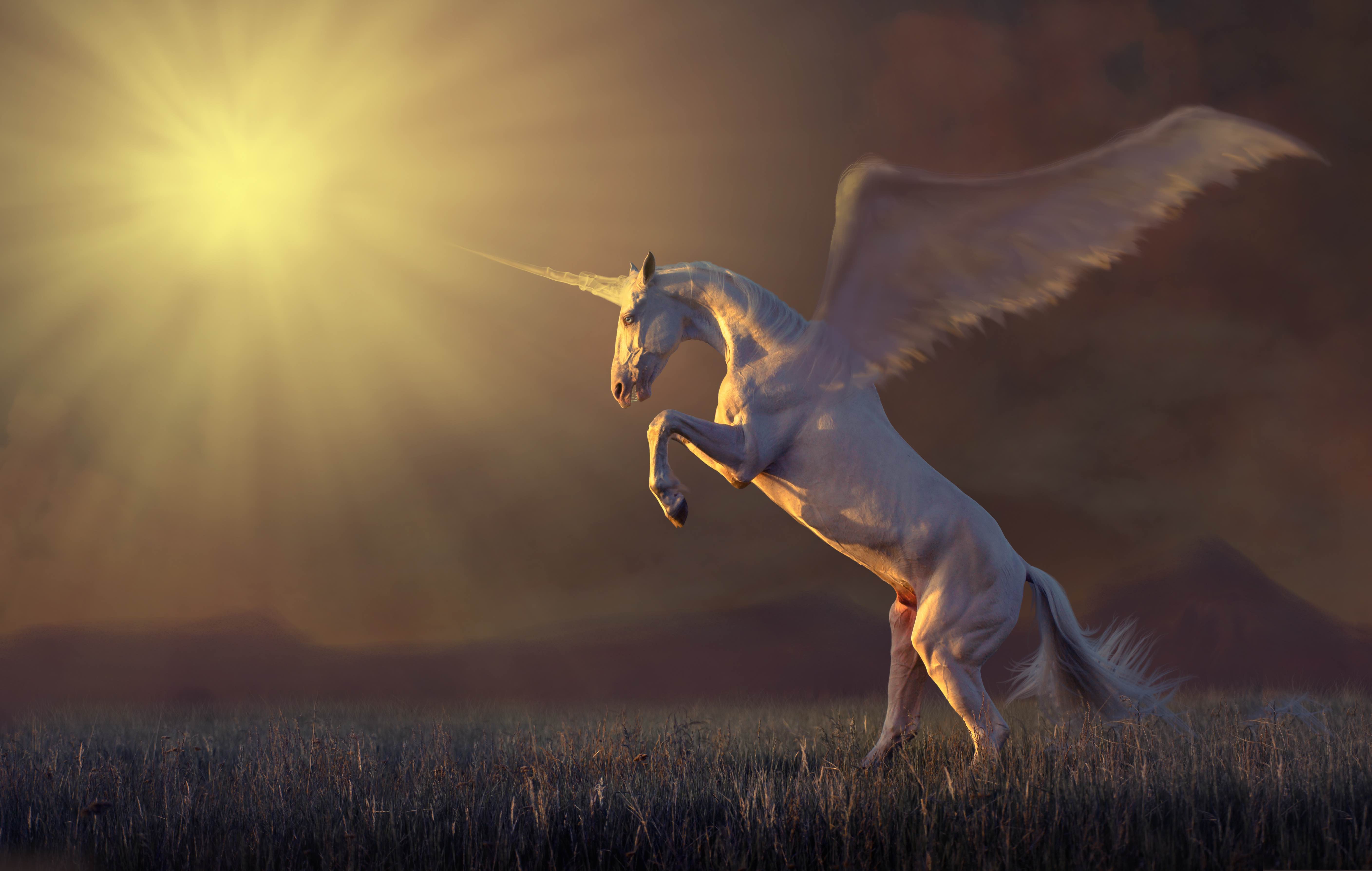 Unicorn