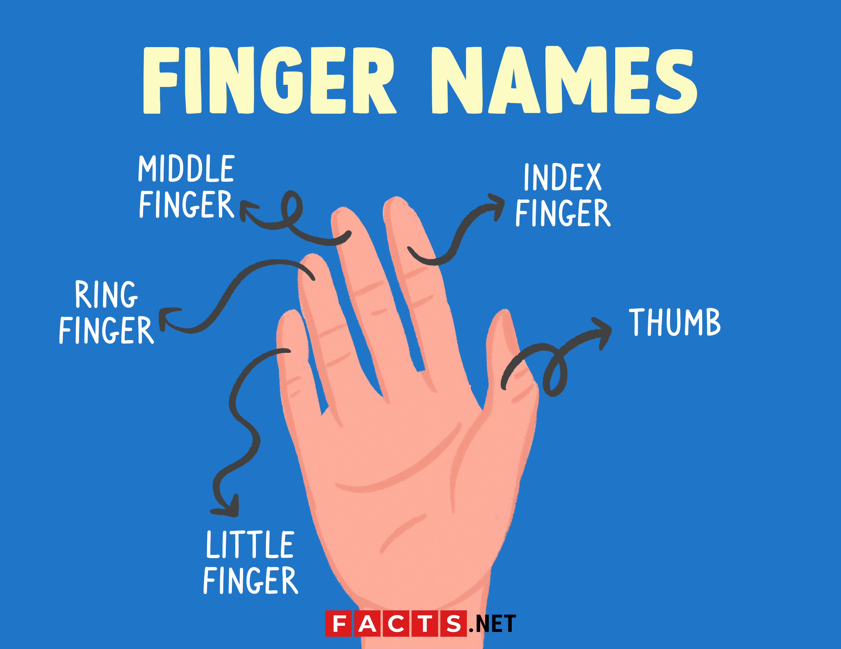 Update more than 142 middle and ring finger together - xkldase.edu.vn