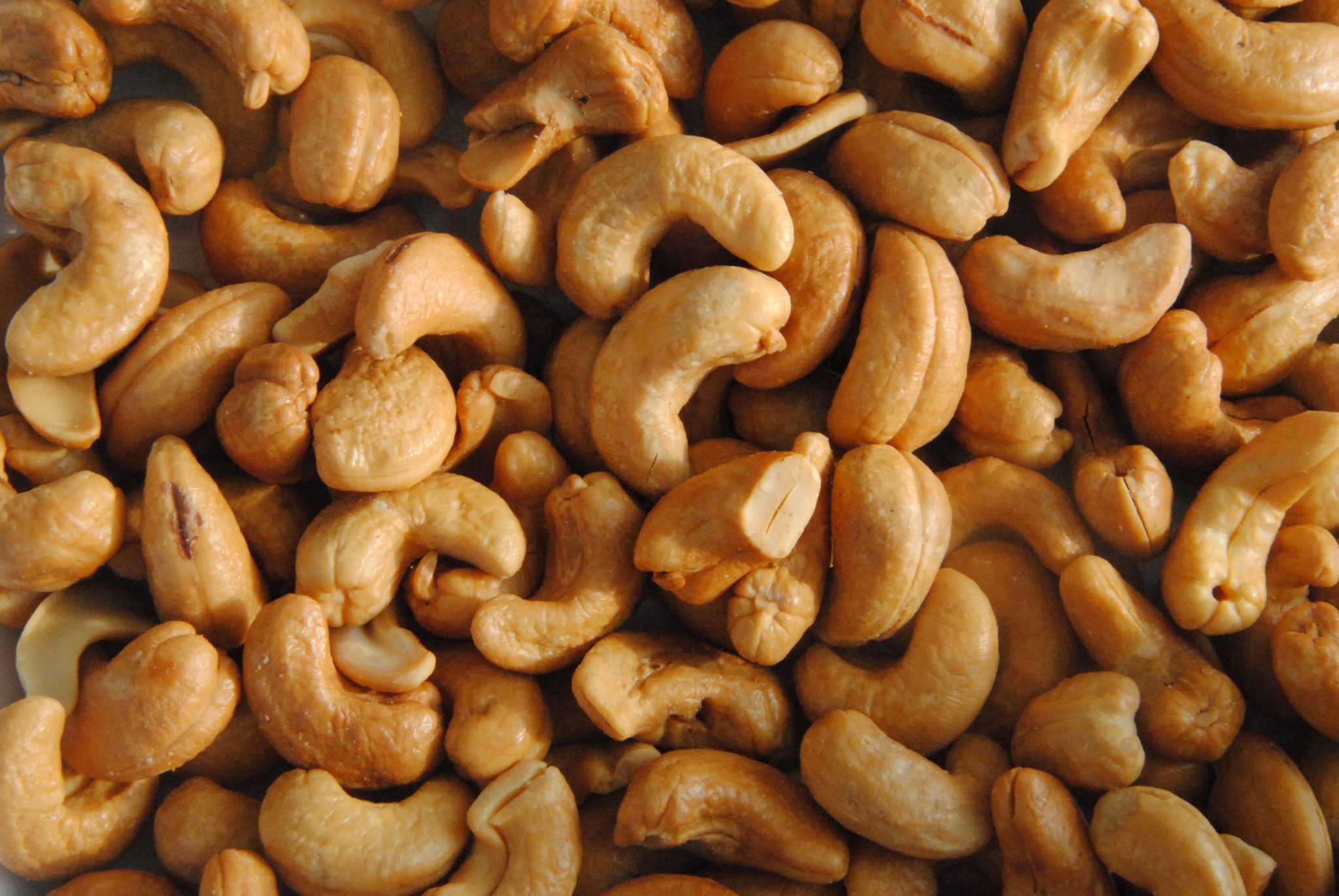 How Do Cashews Grow? [You Won't Believe This!]