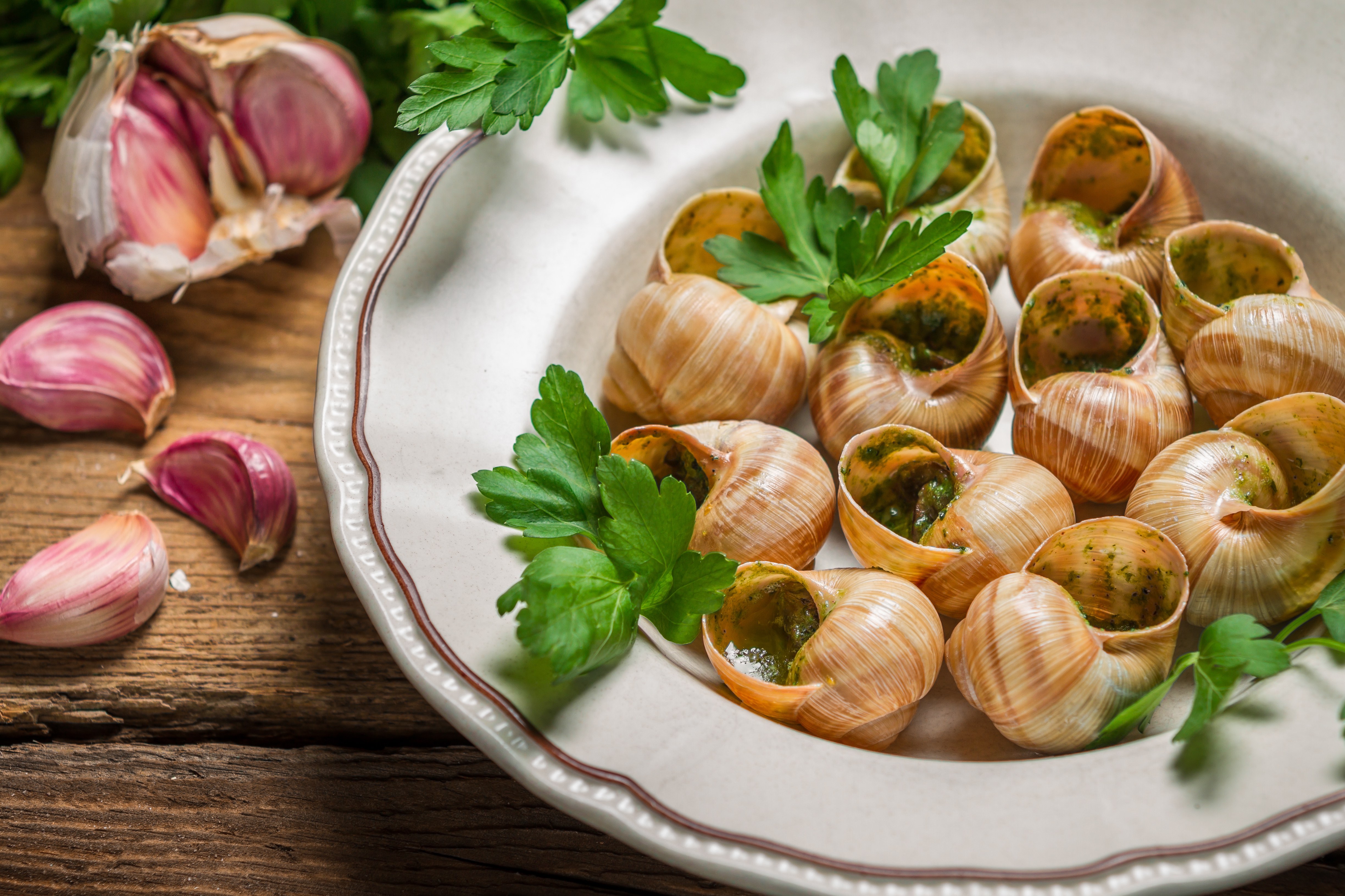 Snails baked in garlic butter and served with parsley