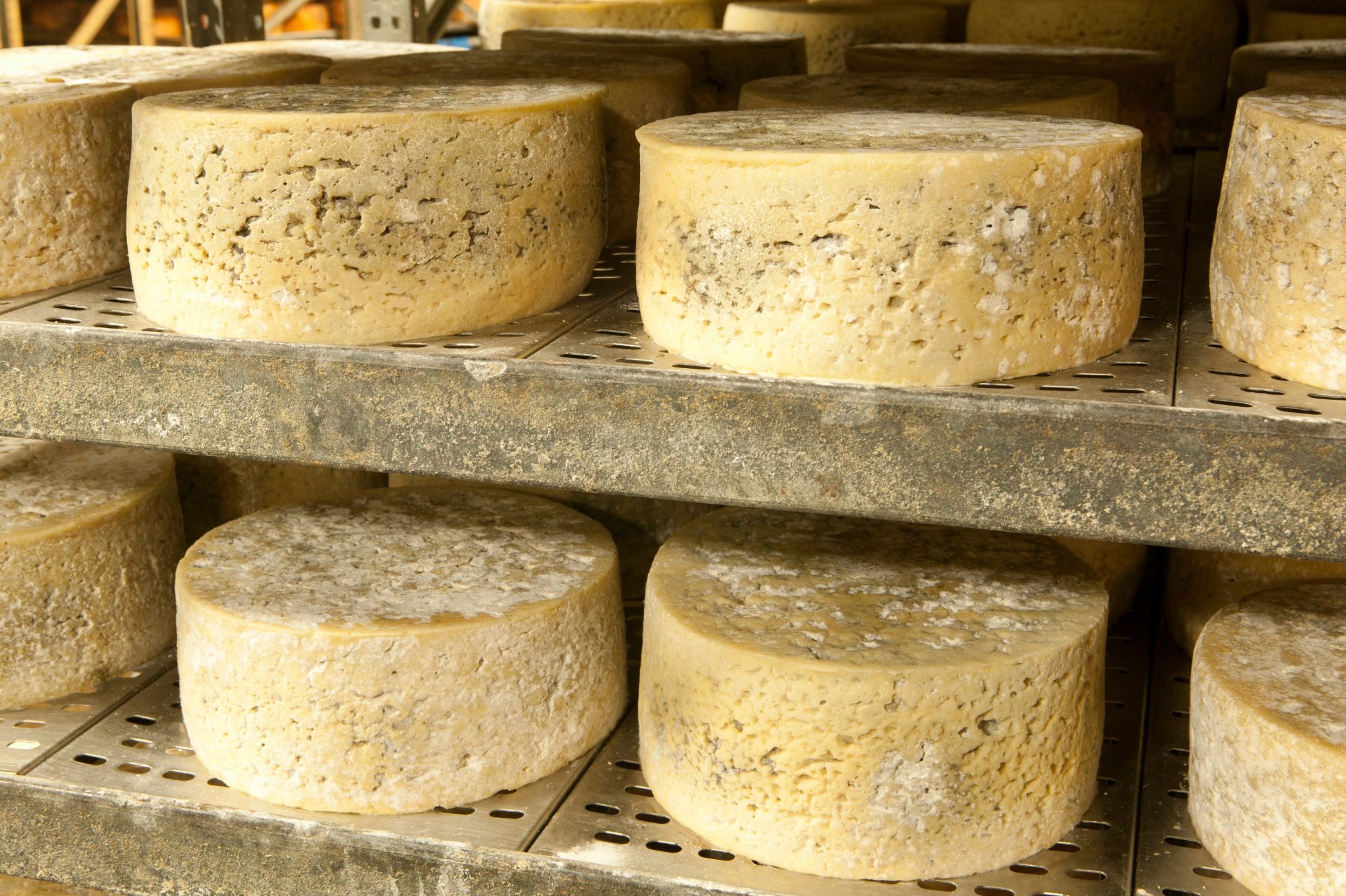 15 Most Expensive Cheeses in the World