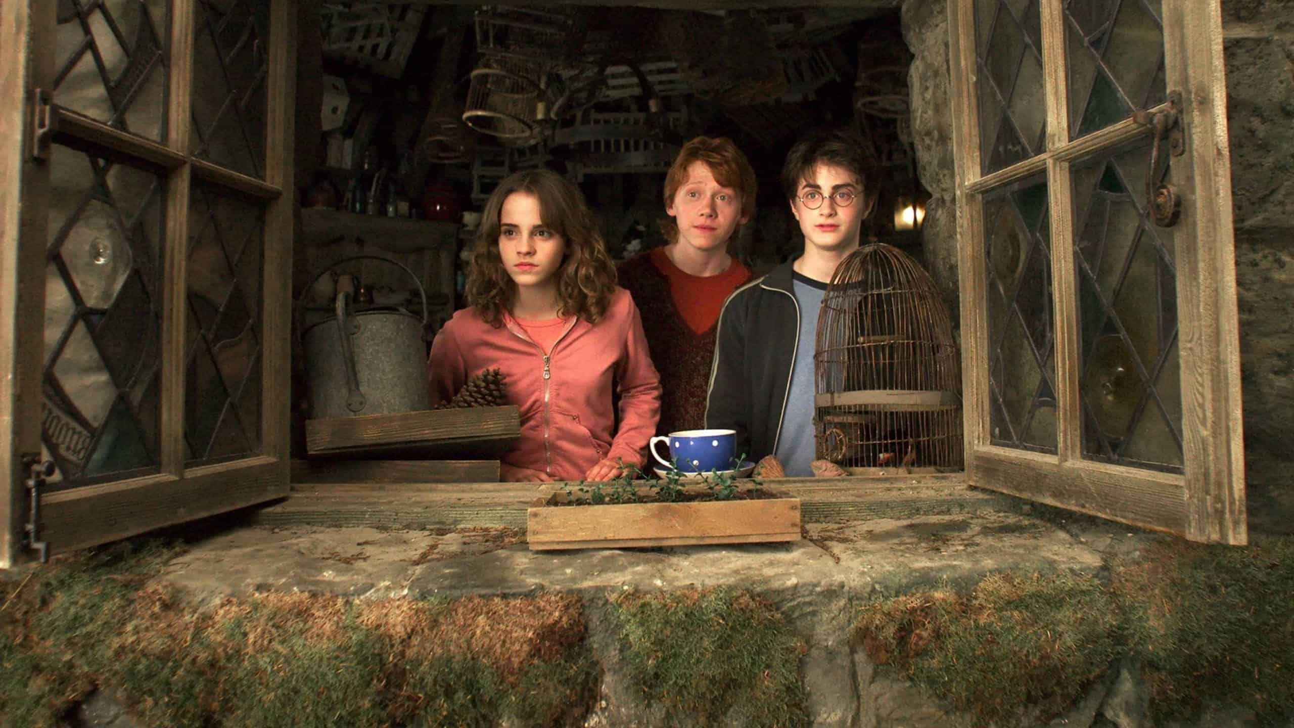 Harry, Hermione, and Ron