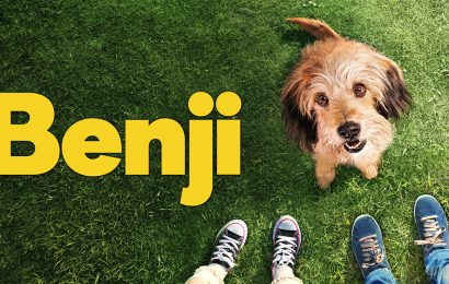 What Kind of Dog is Benji