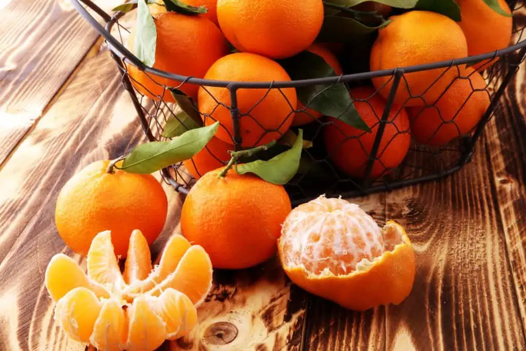 Citrus Fruits List 30 Types of Citrus You Didn't Know