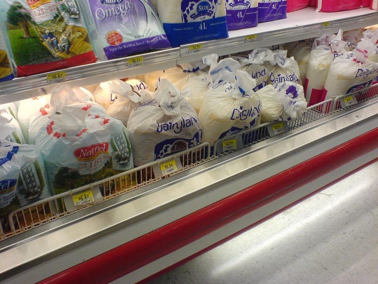 How Much Does A Gallon of Milk Weigh?