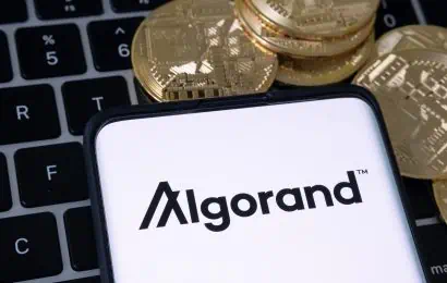 What Can You Use Algorand ALGO For