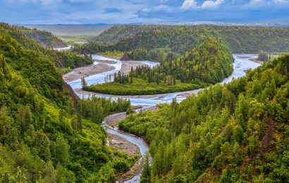 50 Facts About Taiga Biomes Largest Biome In The World 