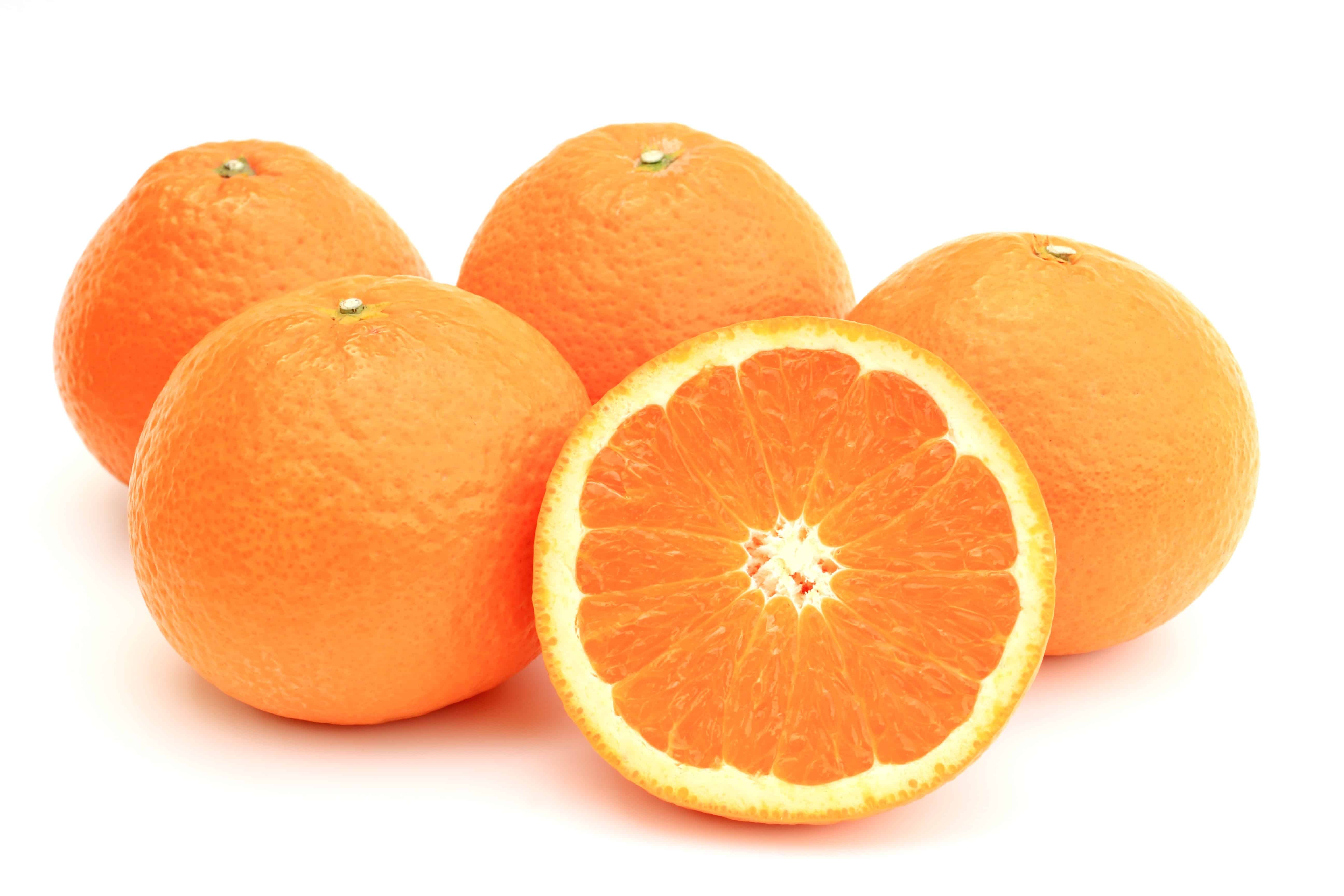 tangor oranges