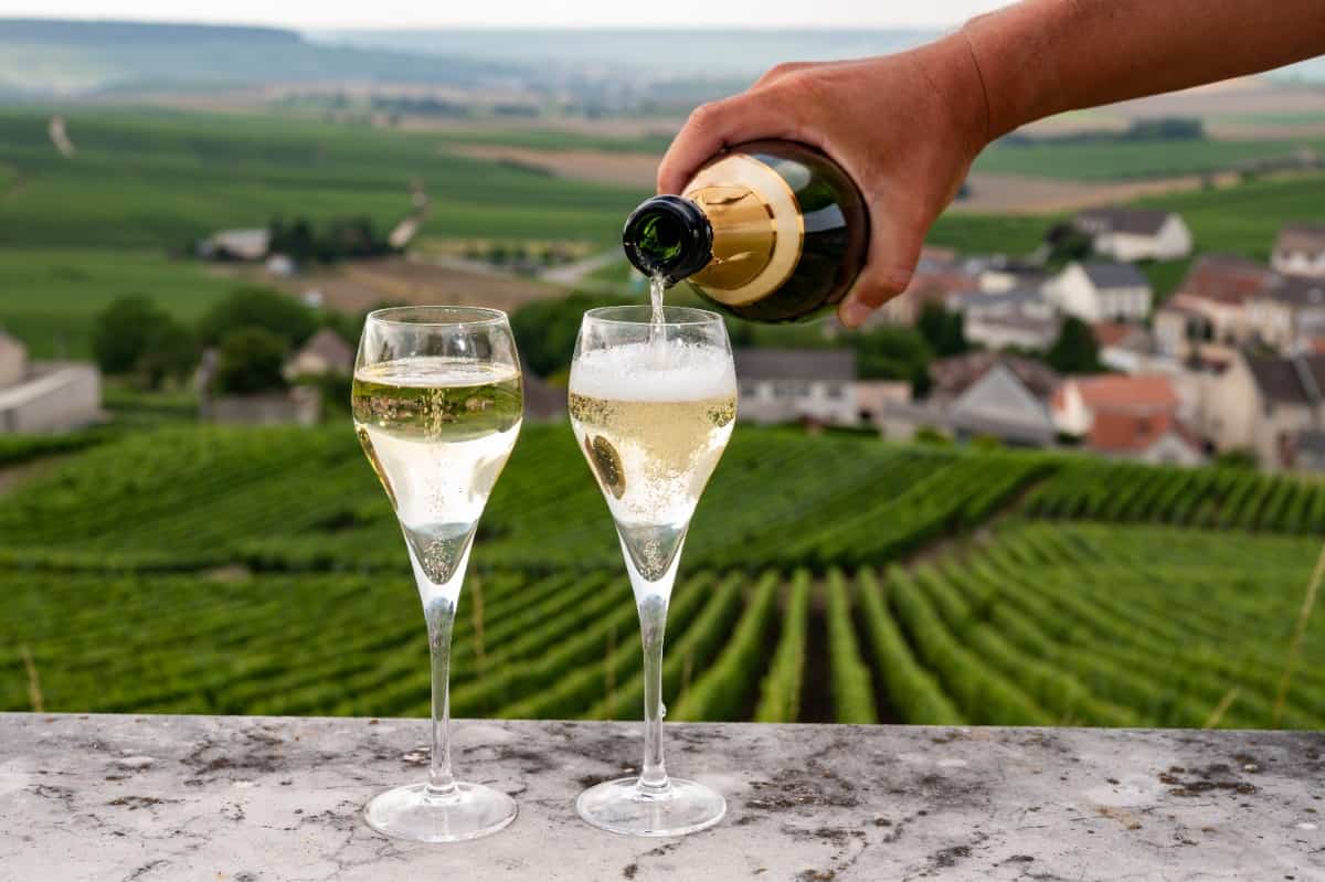 champagne with vineyards in background