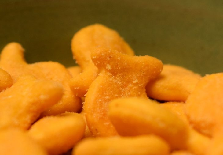 18 Goldfish Nutrition Facts What You Need to Know