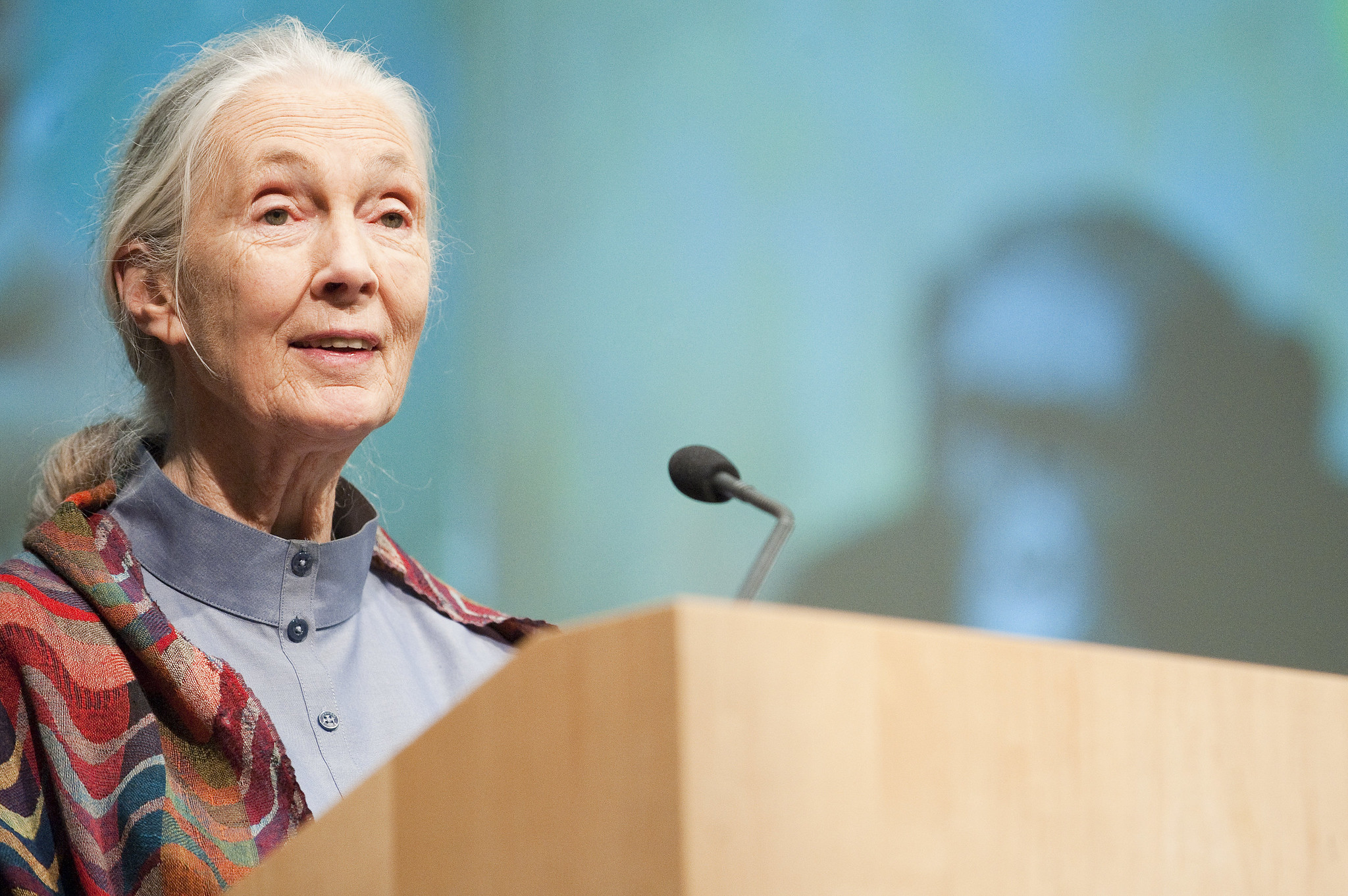 Jane goodall giving a speech