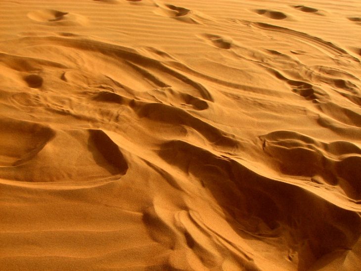 https://facts.net/wp-content/uploads/2023/05/Brown-Sand-730x548.jpg