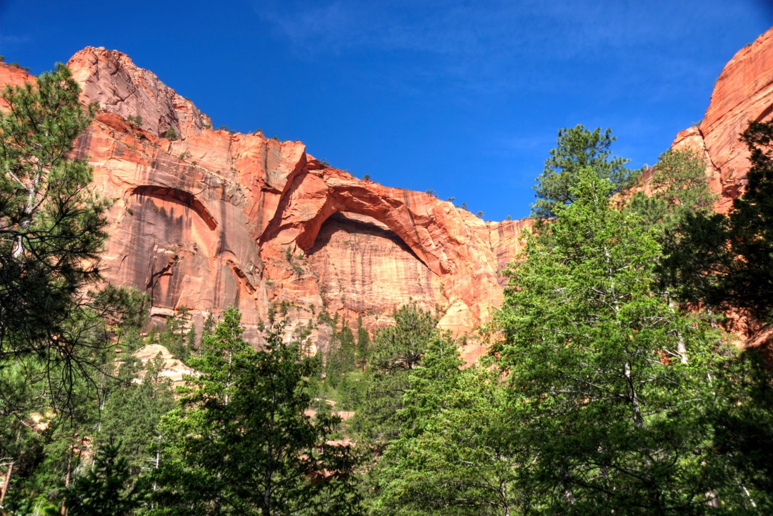 11 Zion National Park Facts Exploring the Wonders of this Natural Gem