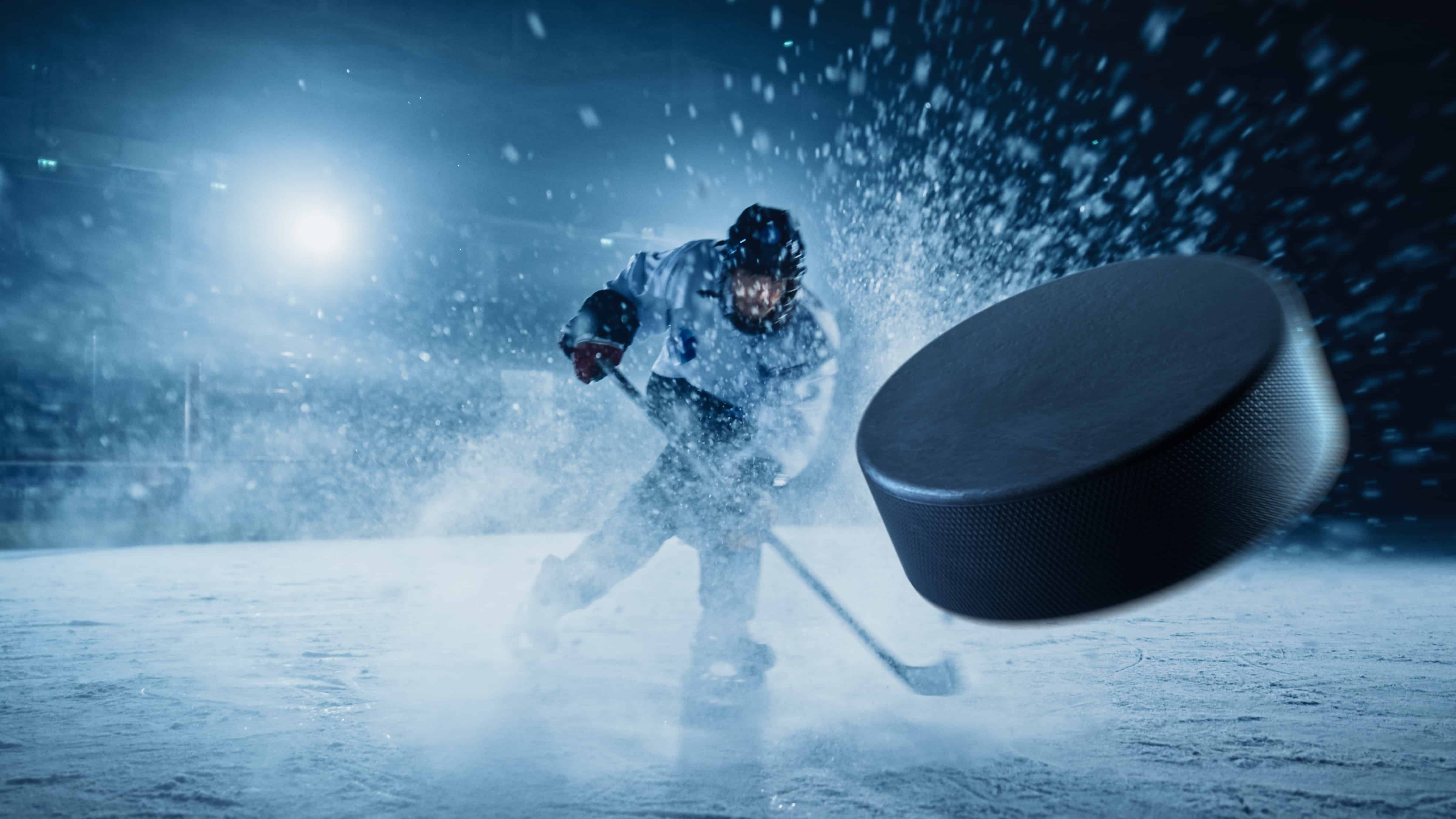 Ice Hockey Puck