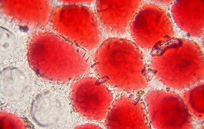 18 Important Facts About Cells 