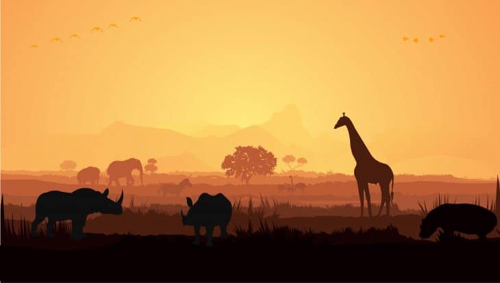 Wild animals silhouette