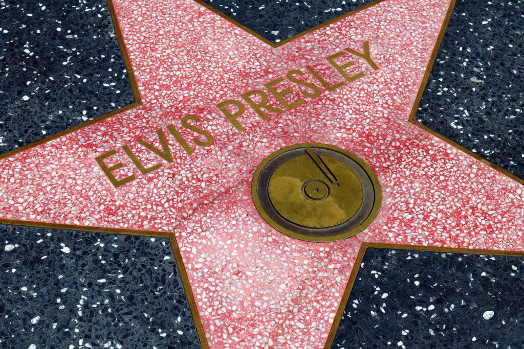 hollywood star elvis presley