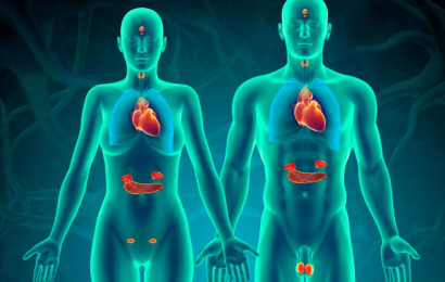 11 Fun Facts About The Endocrine System You Should Know 