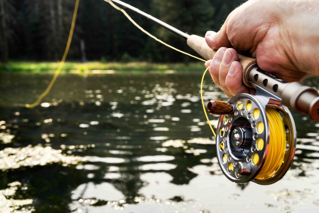 18 Fishing Facts You Never Knew - Facts.net