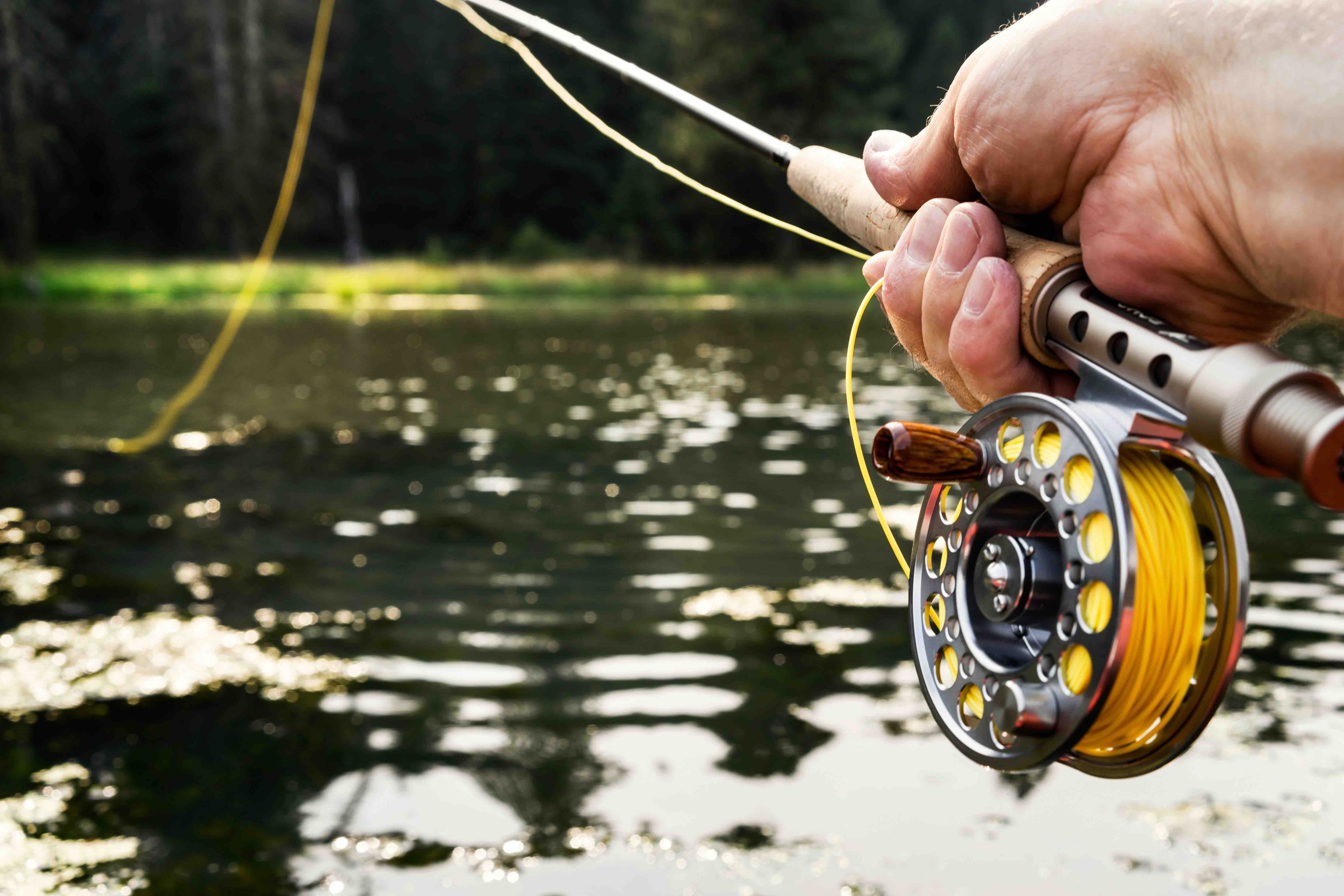 18 Fishing Facts You Never Knew 