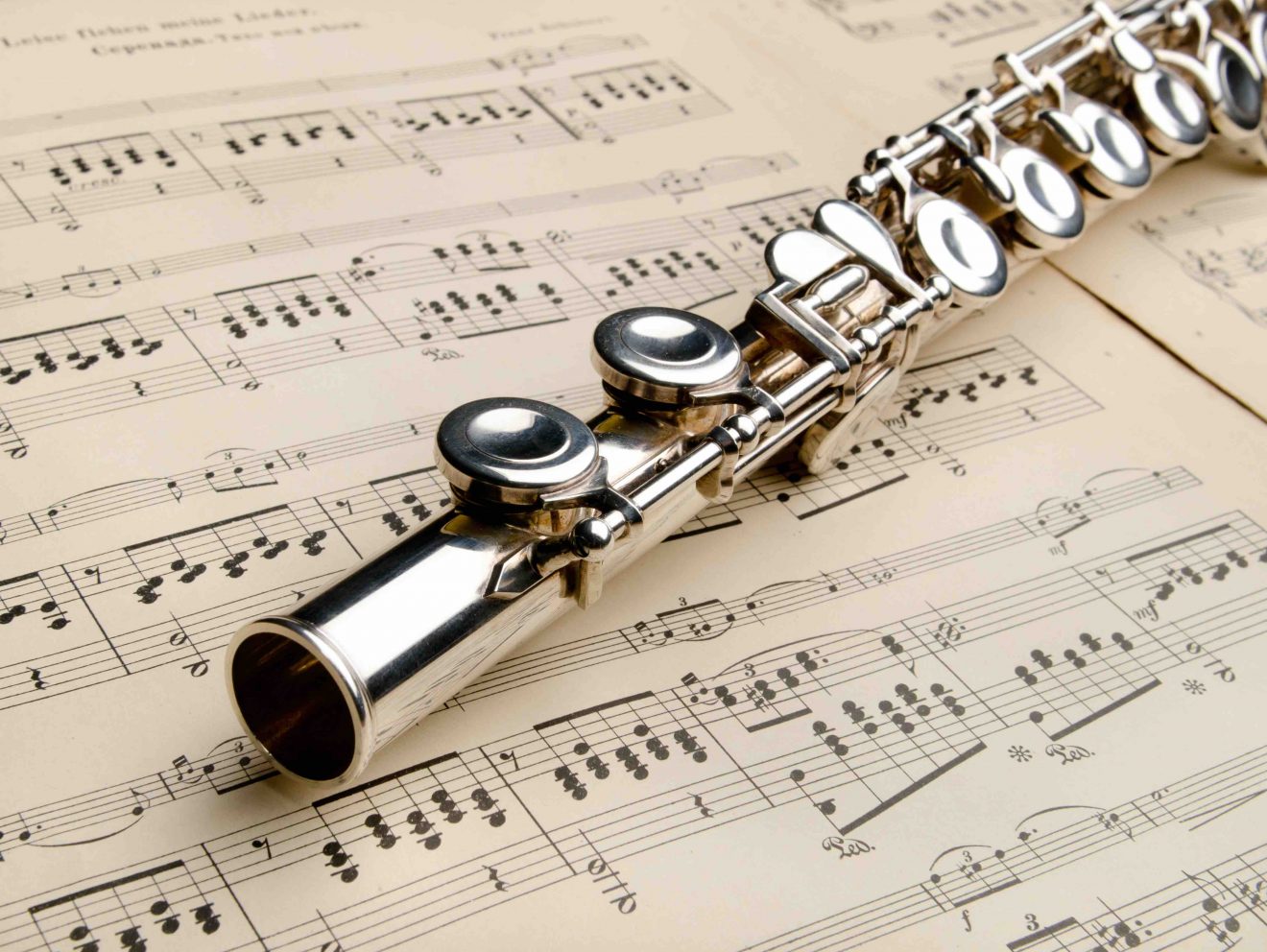 15 Flute Facts Explore the Melodic Charm of this Beautiful Wind