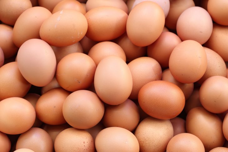 fresh eggs