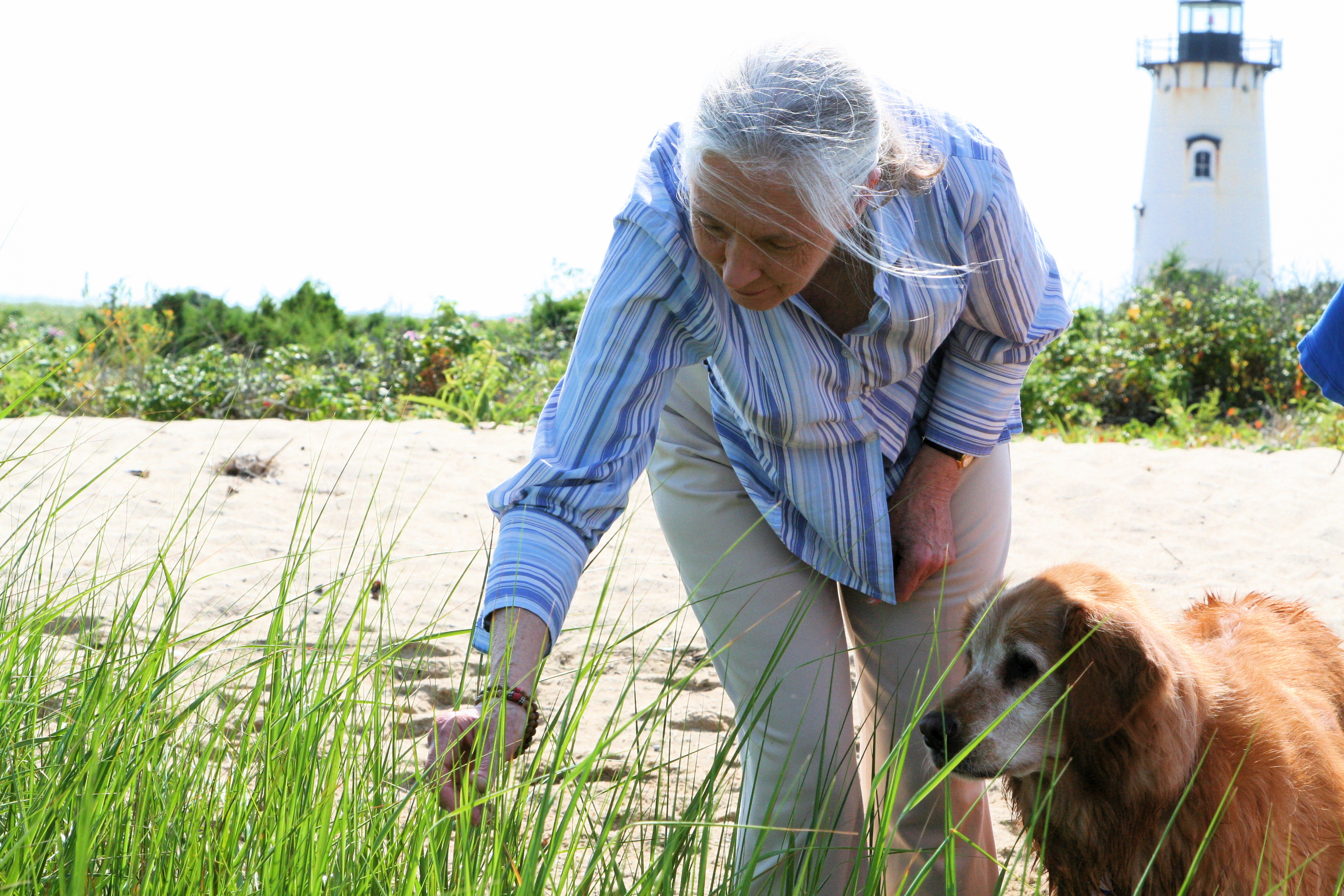 jane goodall with her dog