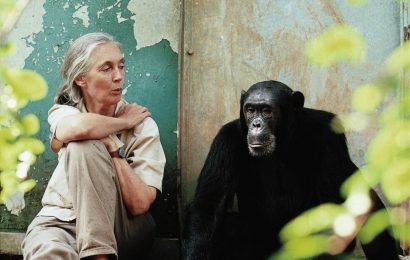 15 Inspiring Jane Goodall Facts For Kids 
